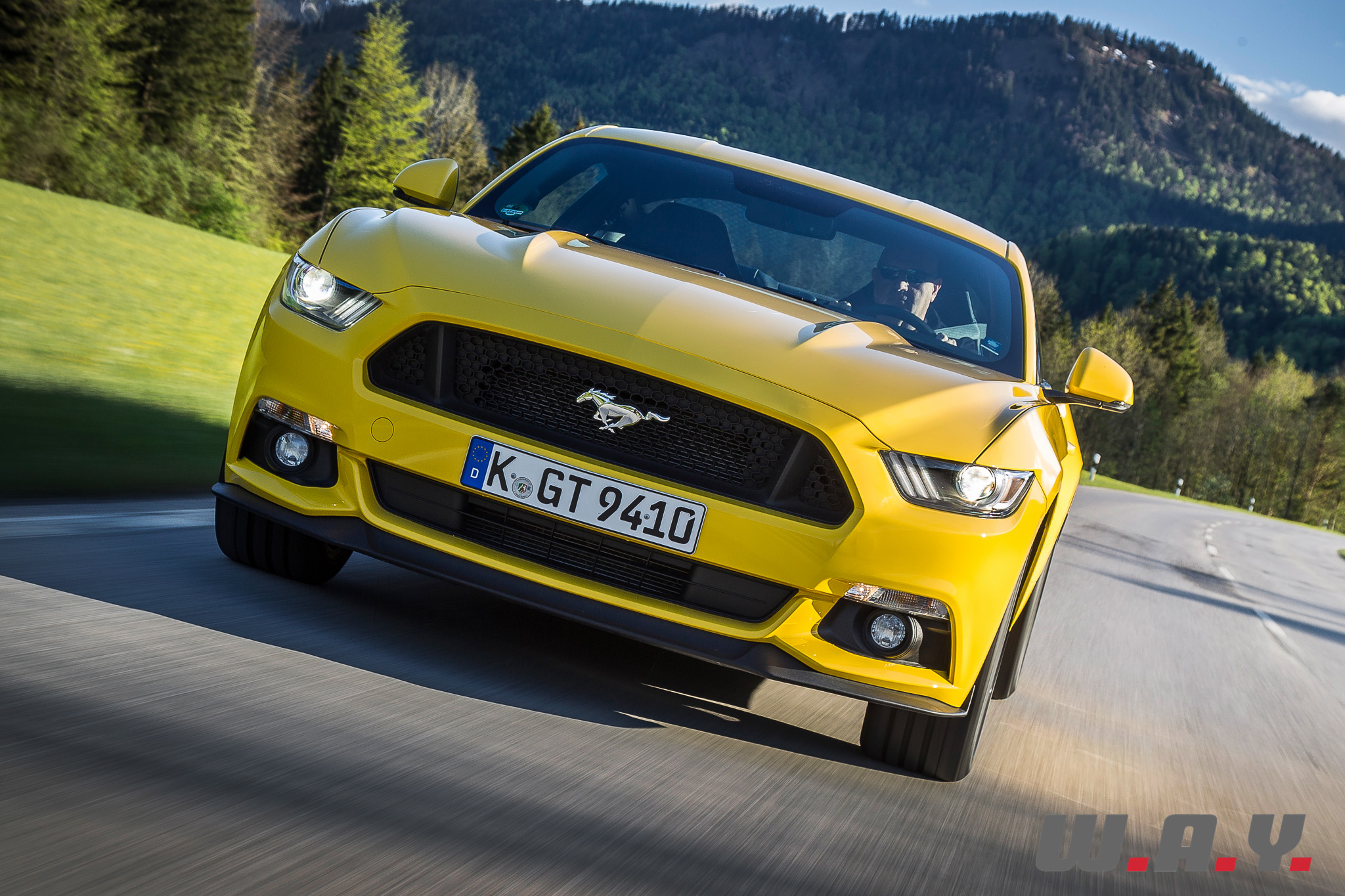 Mustang-04