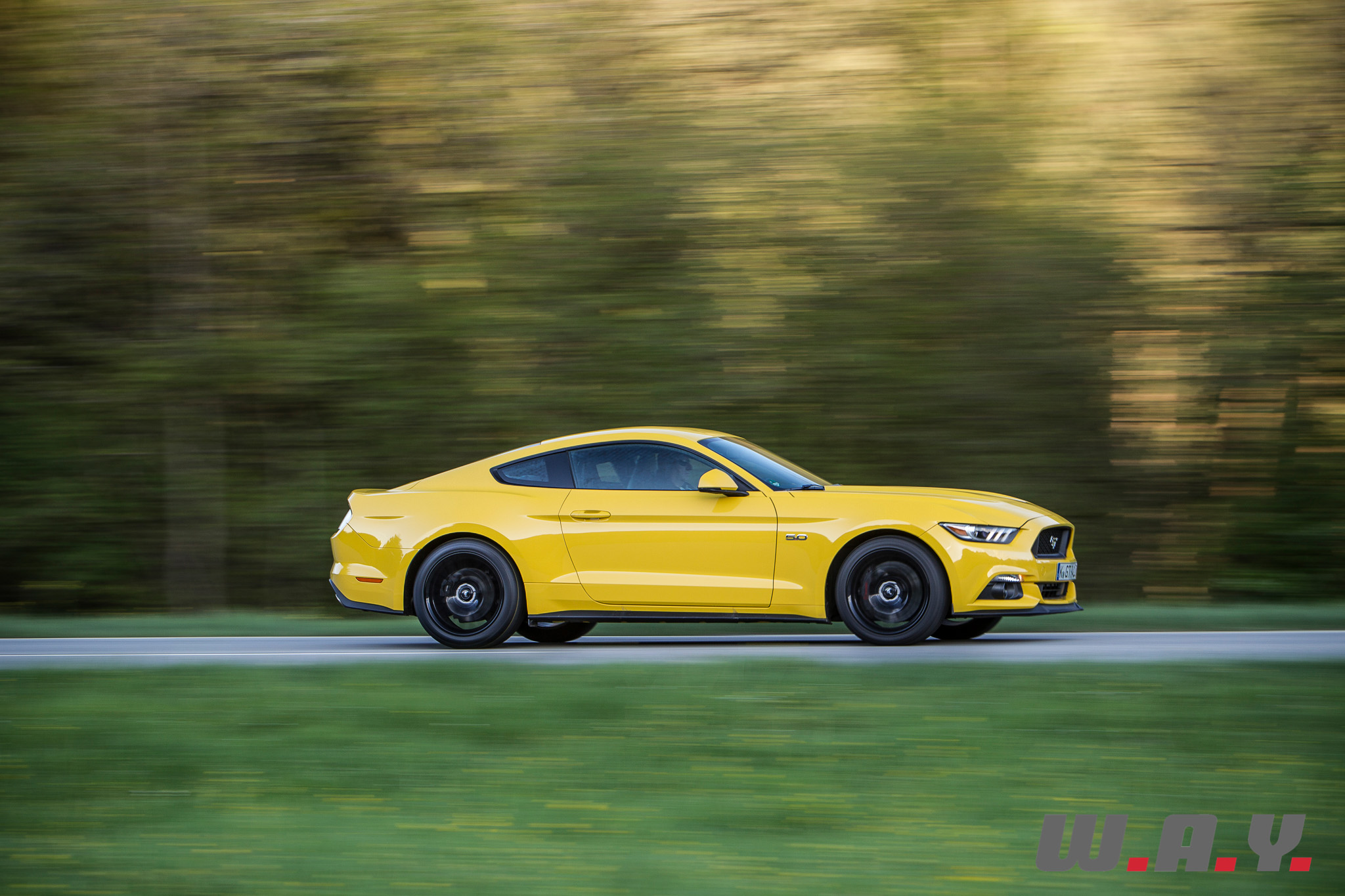 Mustang-05