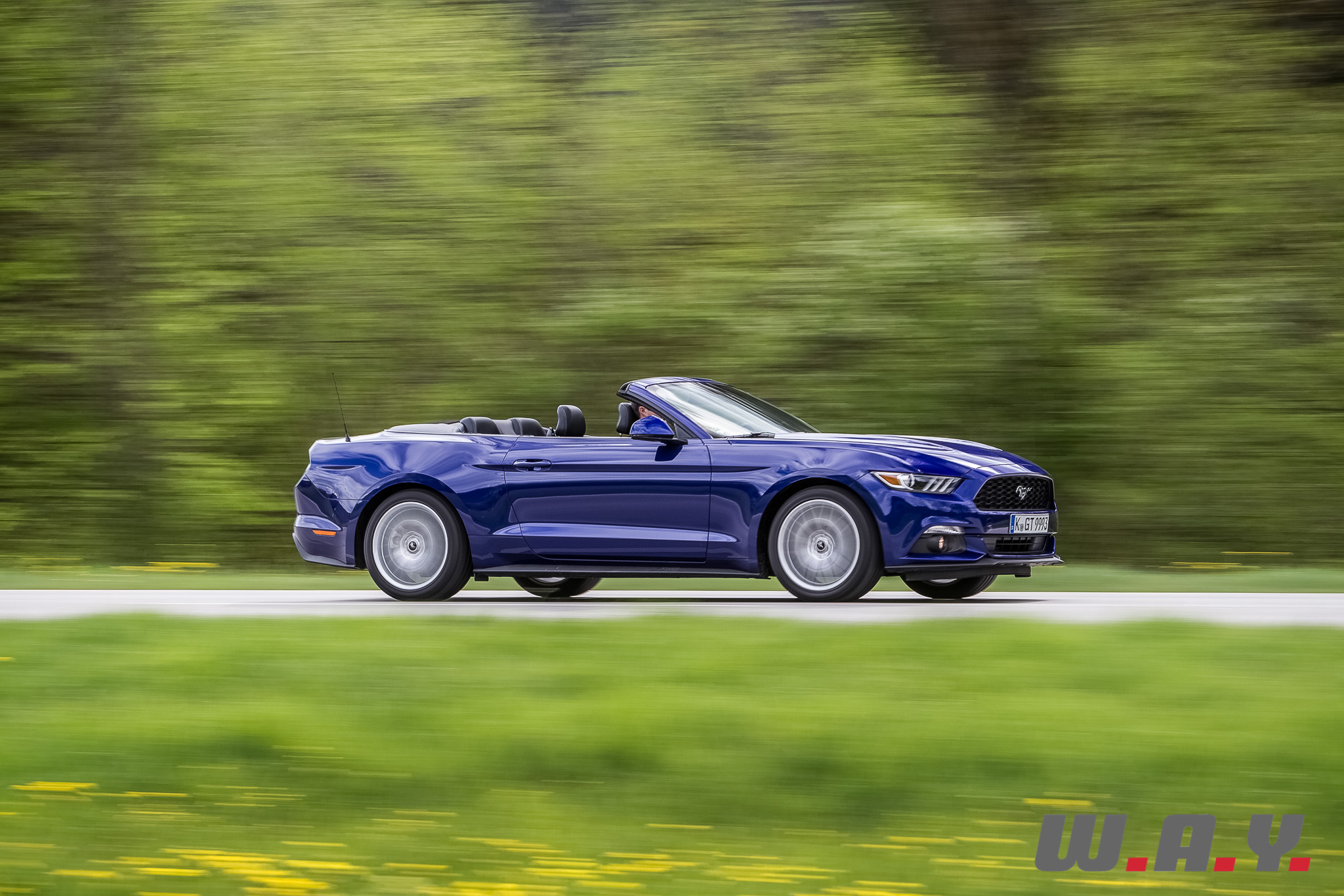 Mustang-08