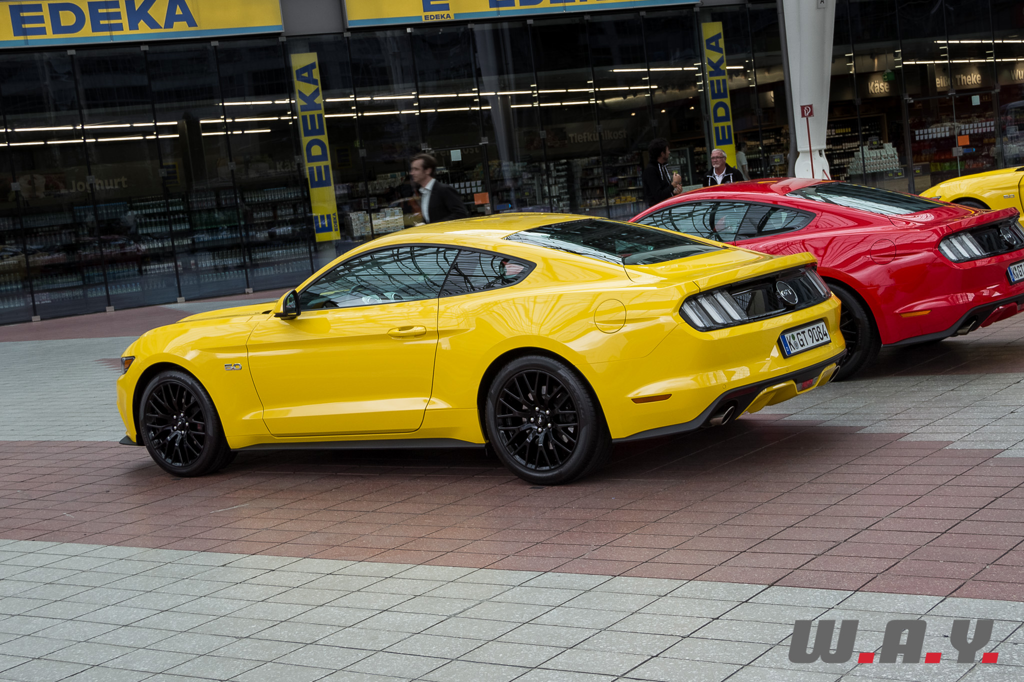 Mustang-10