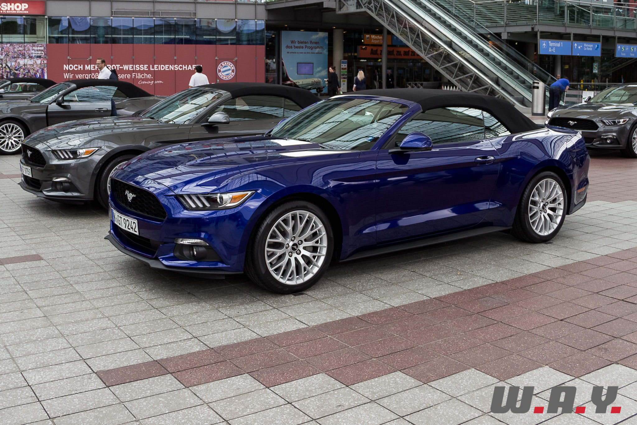 Mustang-11