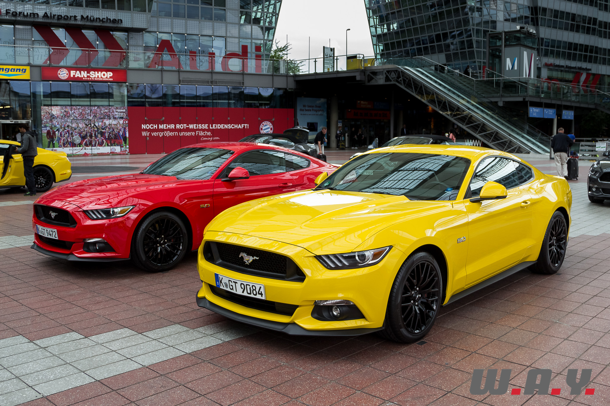 Mustang-12