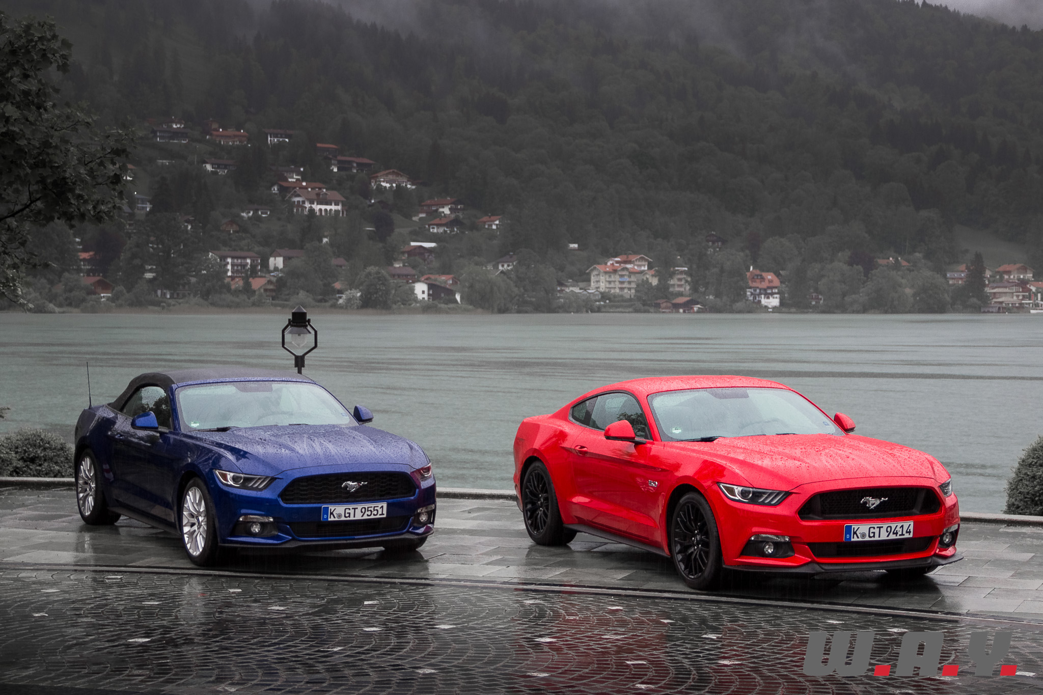 Mustang-13