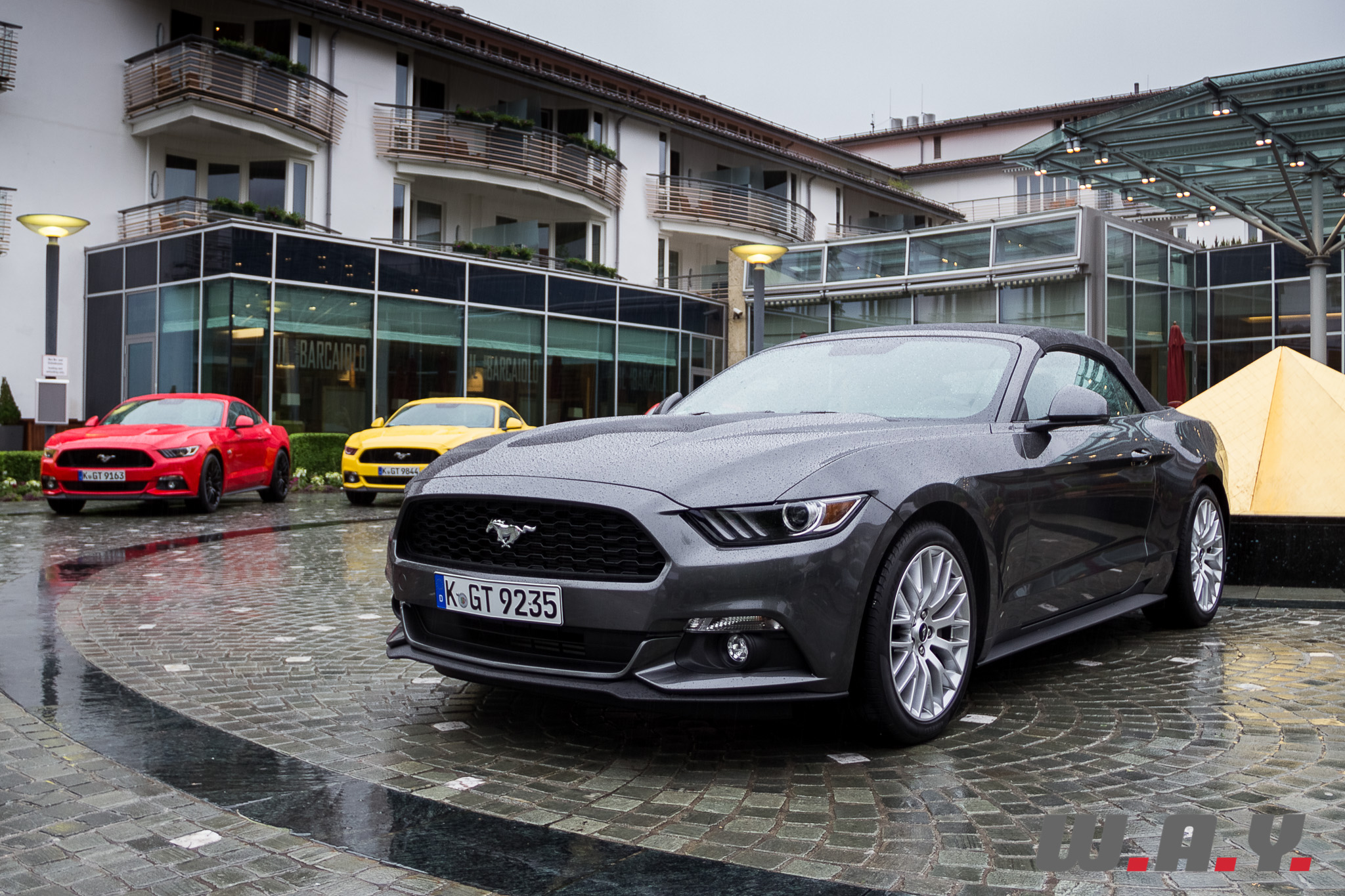 Mustang-14