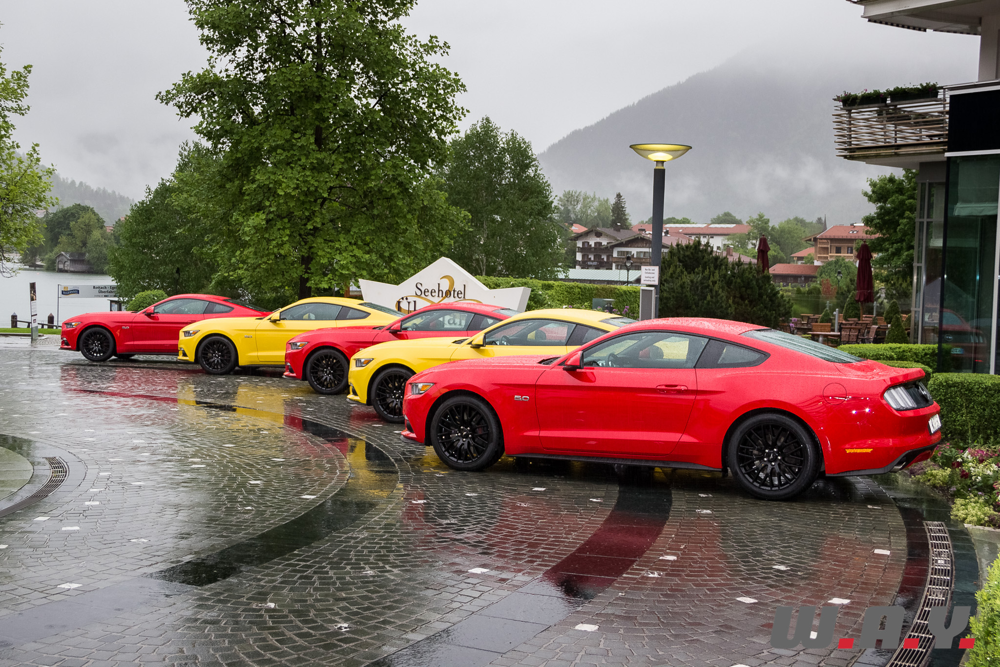 Mustang-16