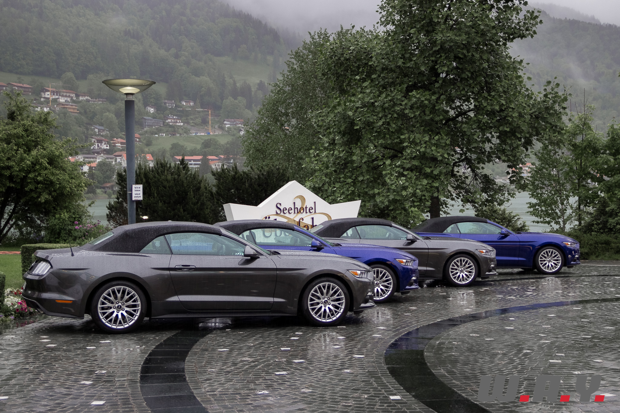 Mustang-17