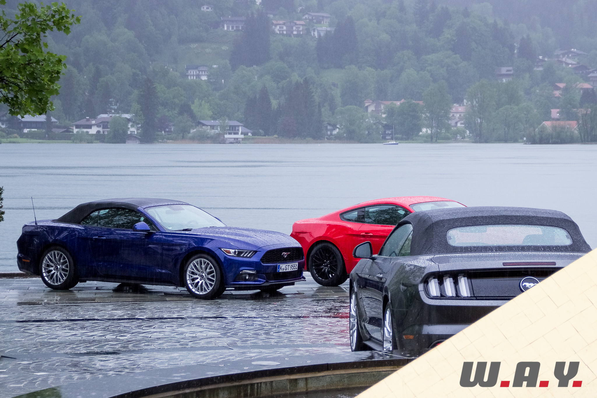 Mustang-18