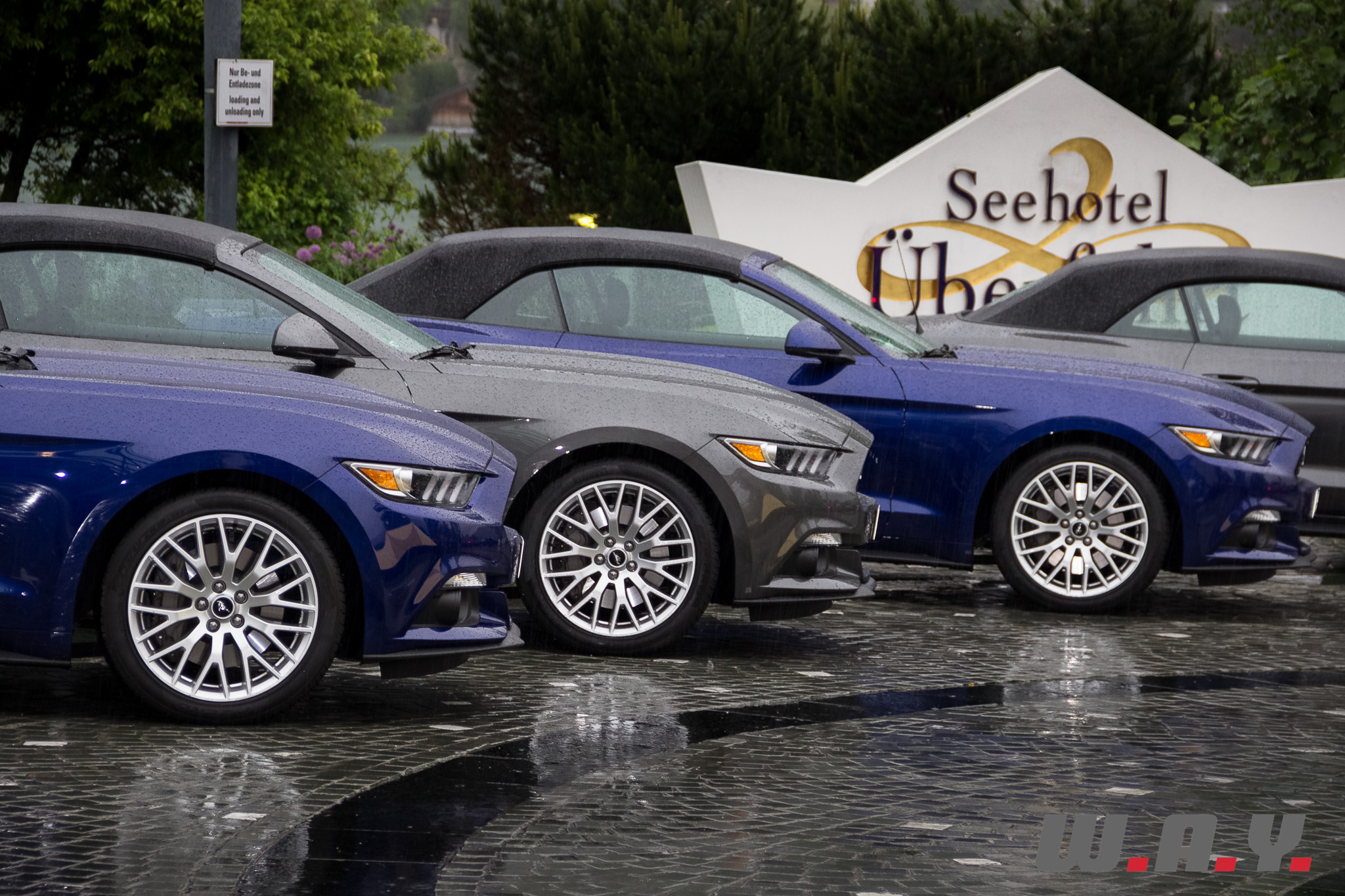 Mustang-19