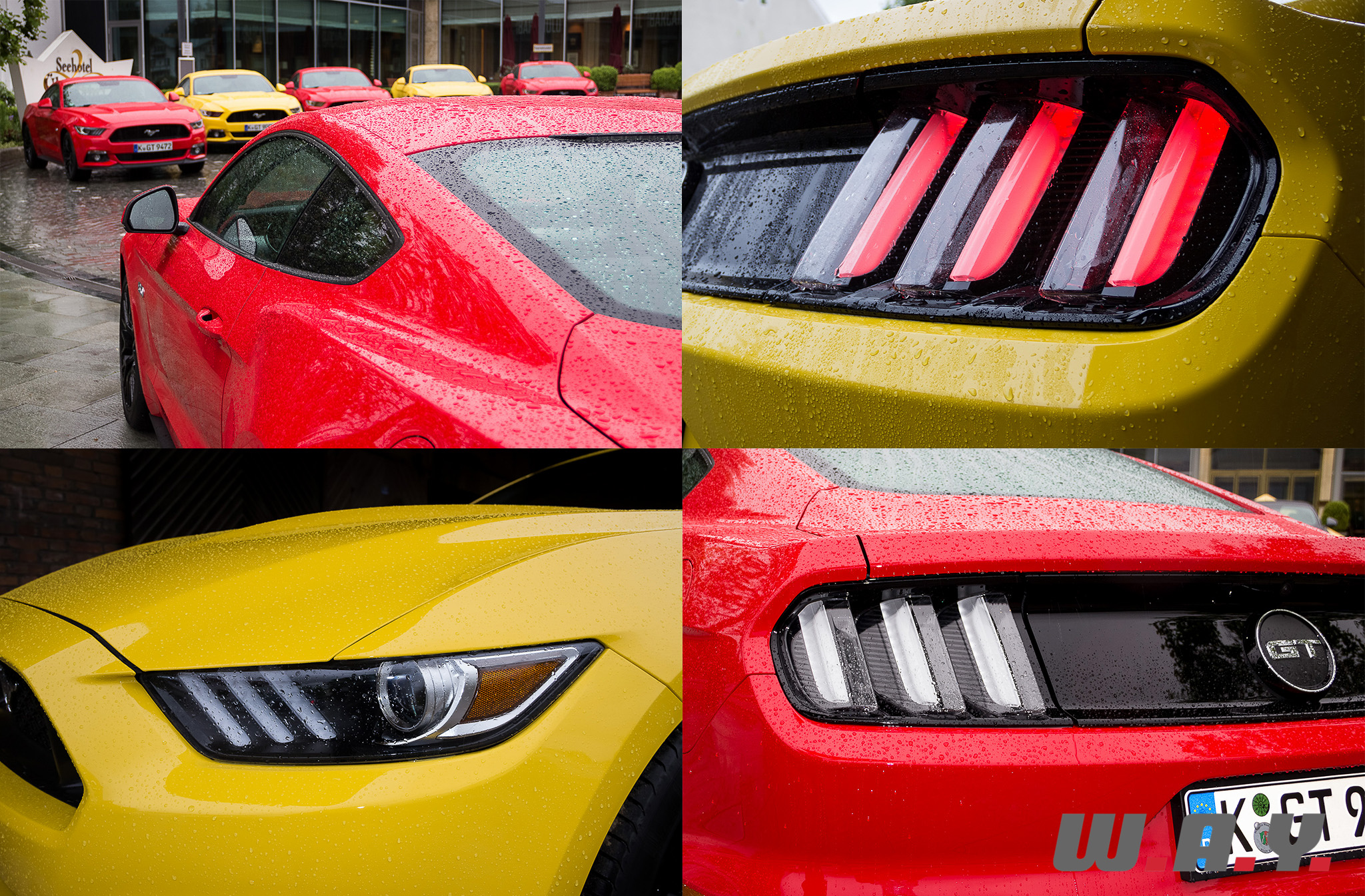 Mustang-24