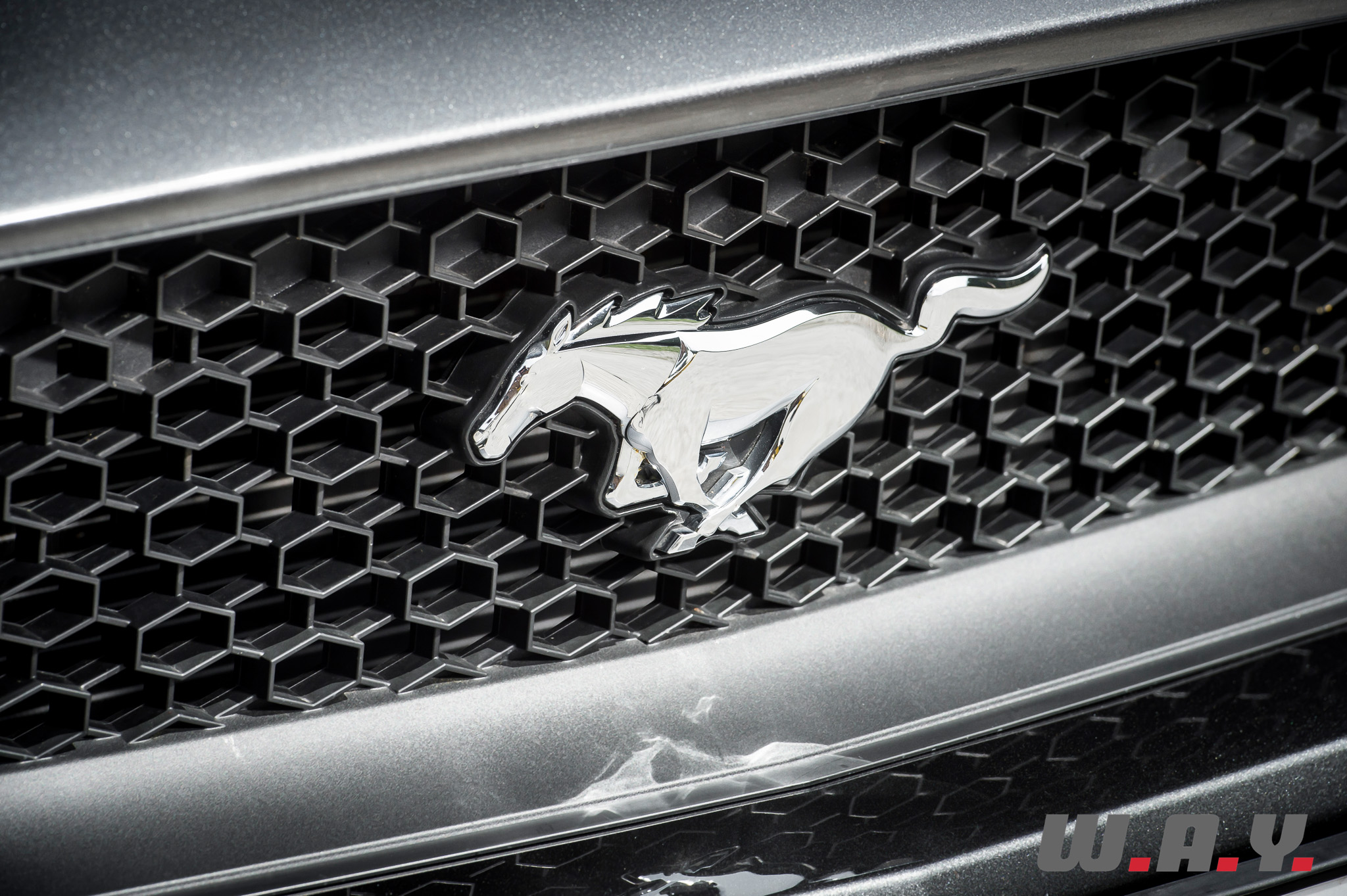 Mustang-29