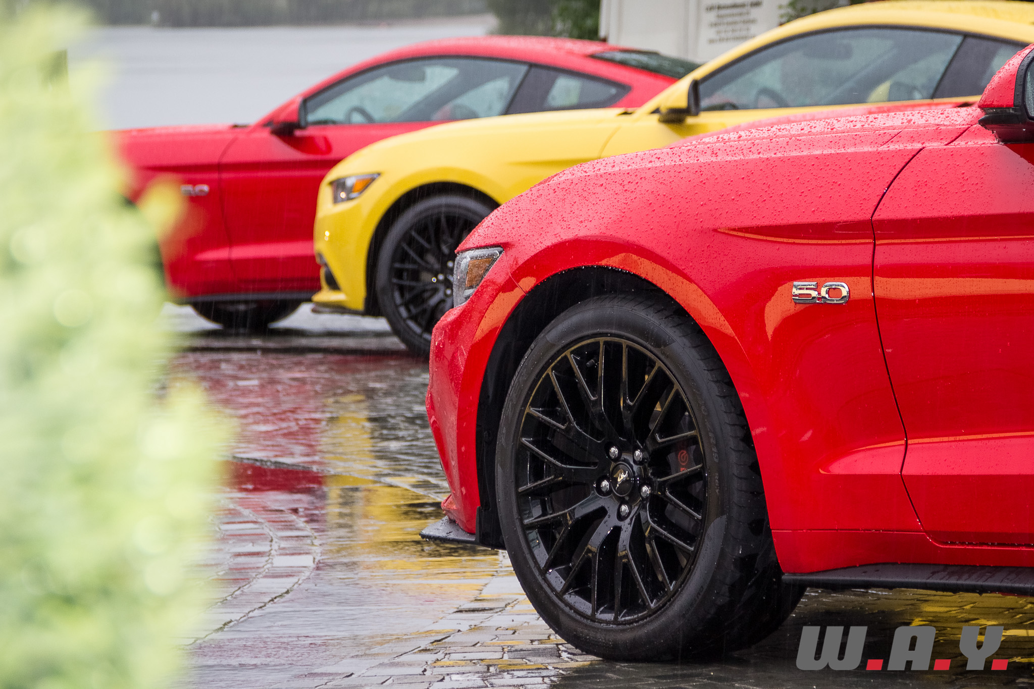 Mustang-32