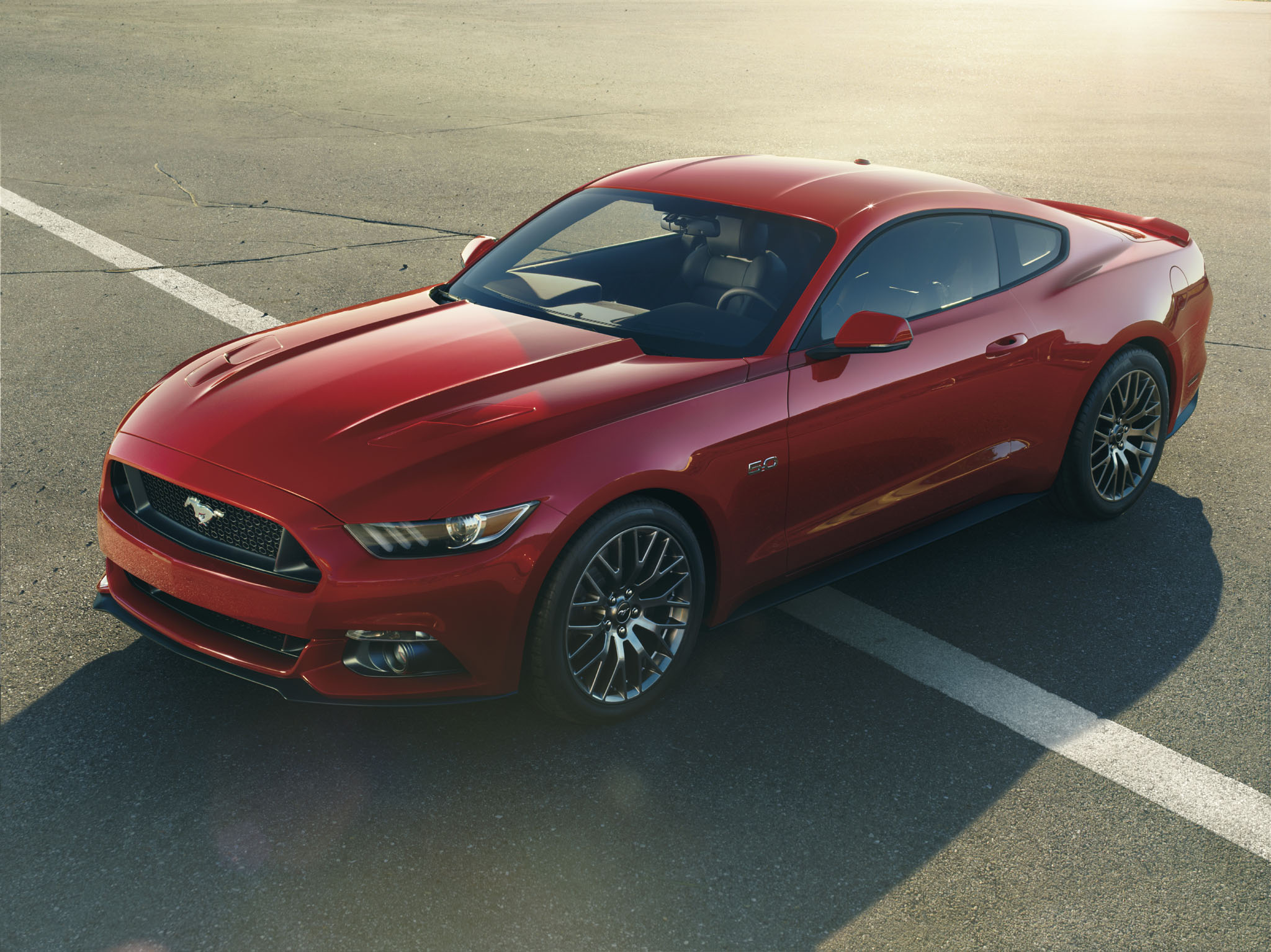 Mustang 01