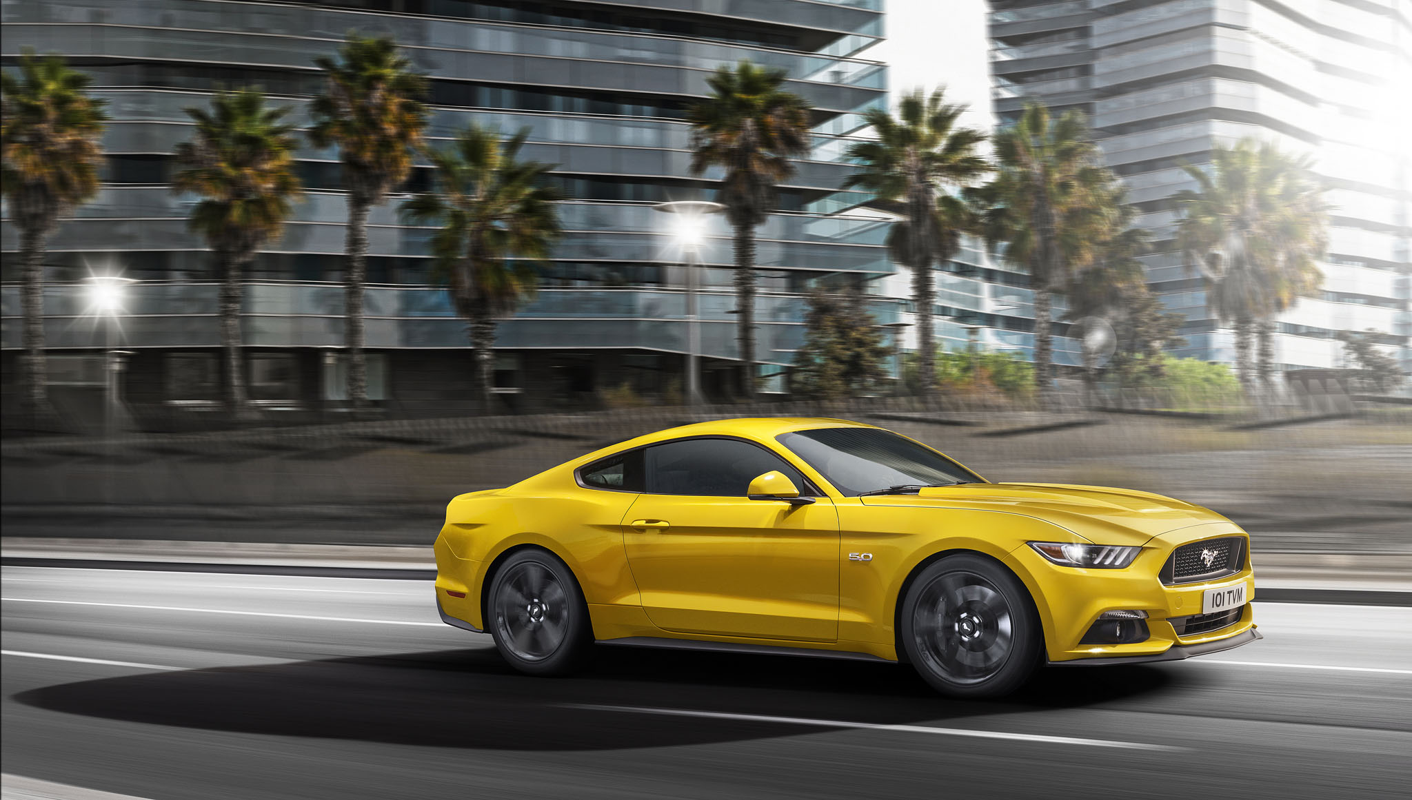 Mustang 02