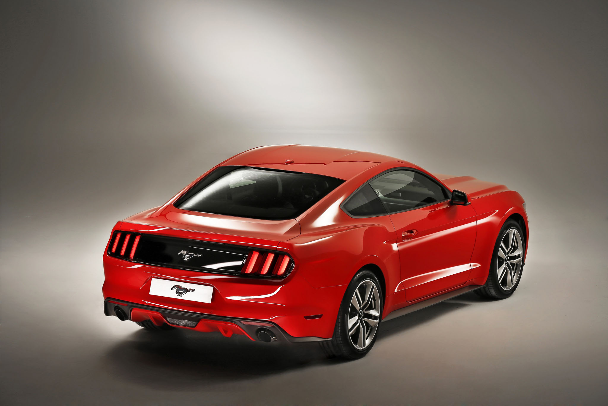 Mustang 04
