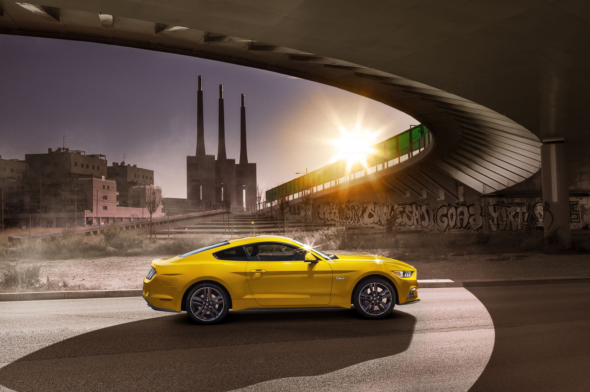 Mustang 11