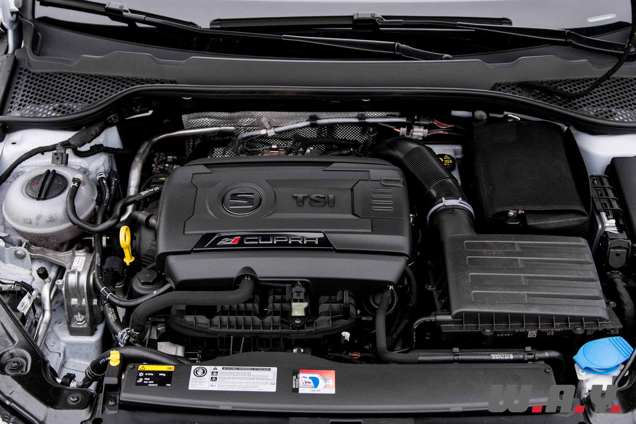 SeatLeonCupra 12