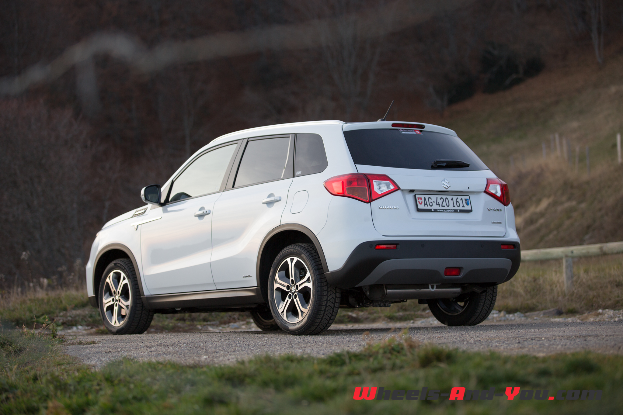 SuzukiVitara 04