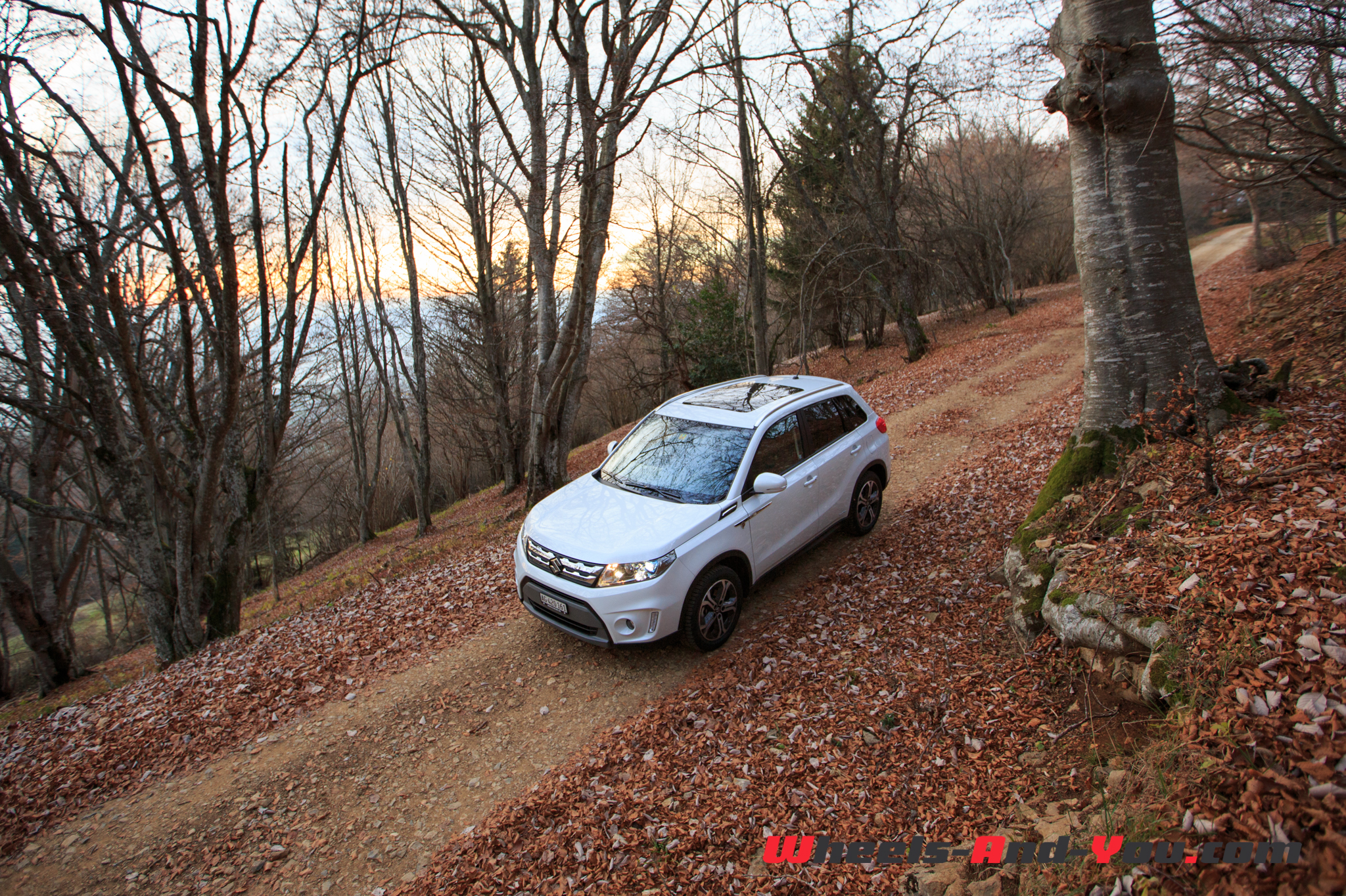 SuzukiVitara 05