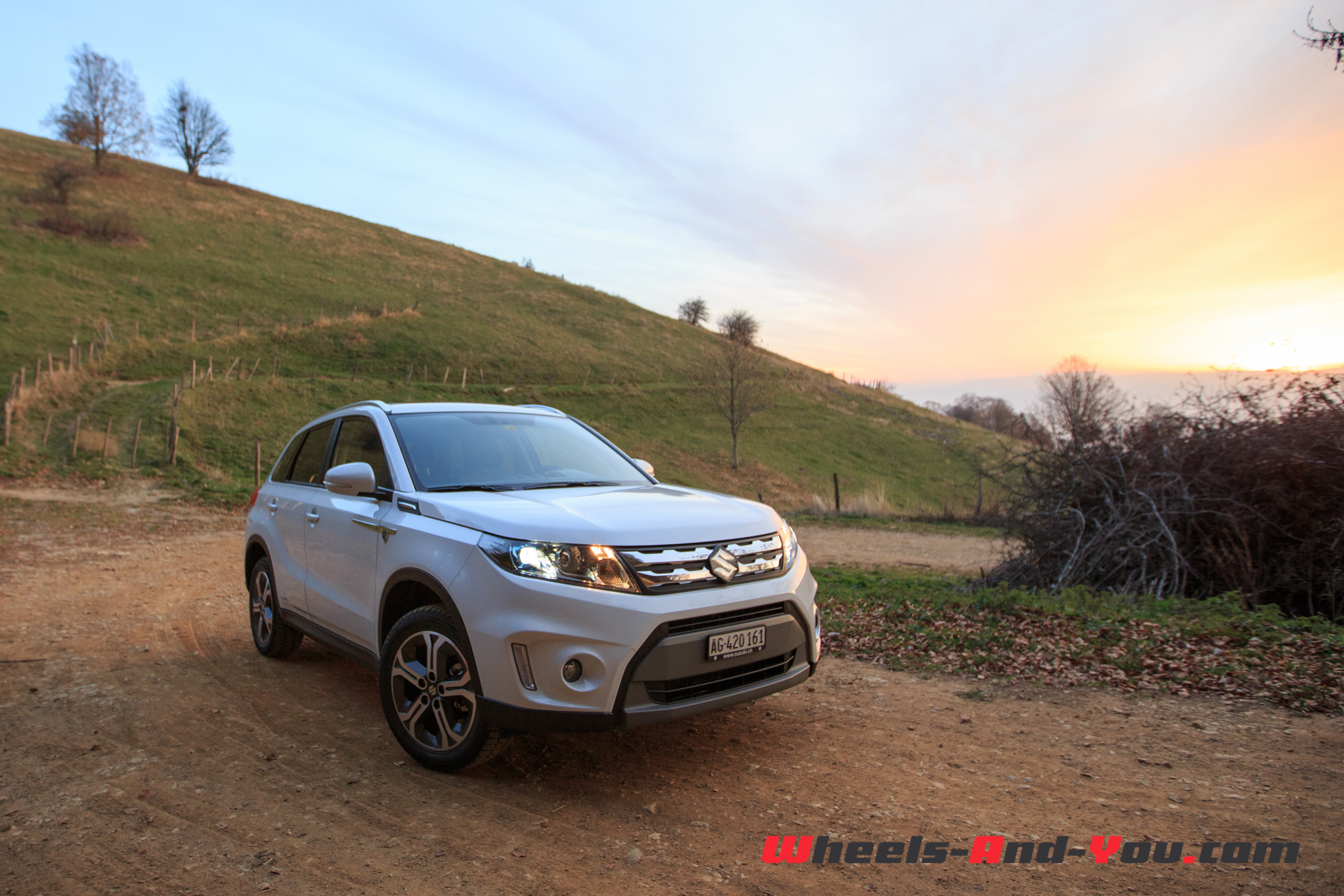 SuzukiVitara 10