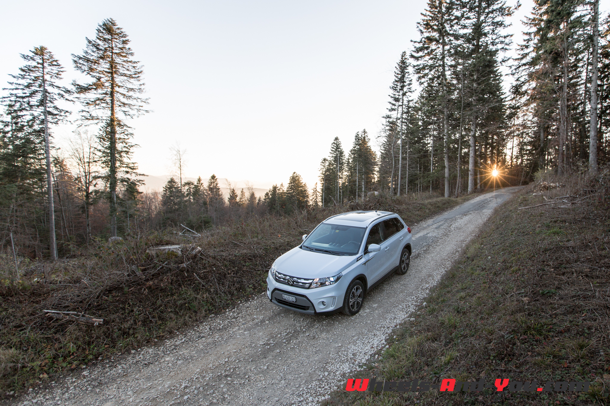 SuzukiVitara 12