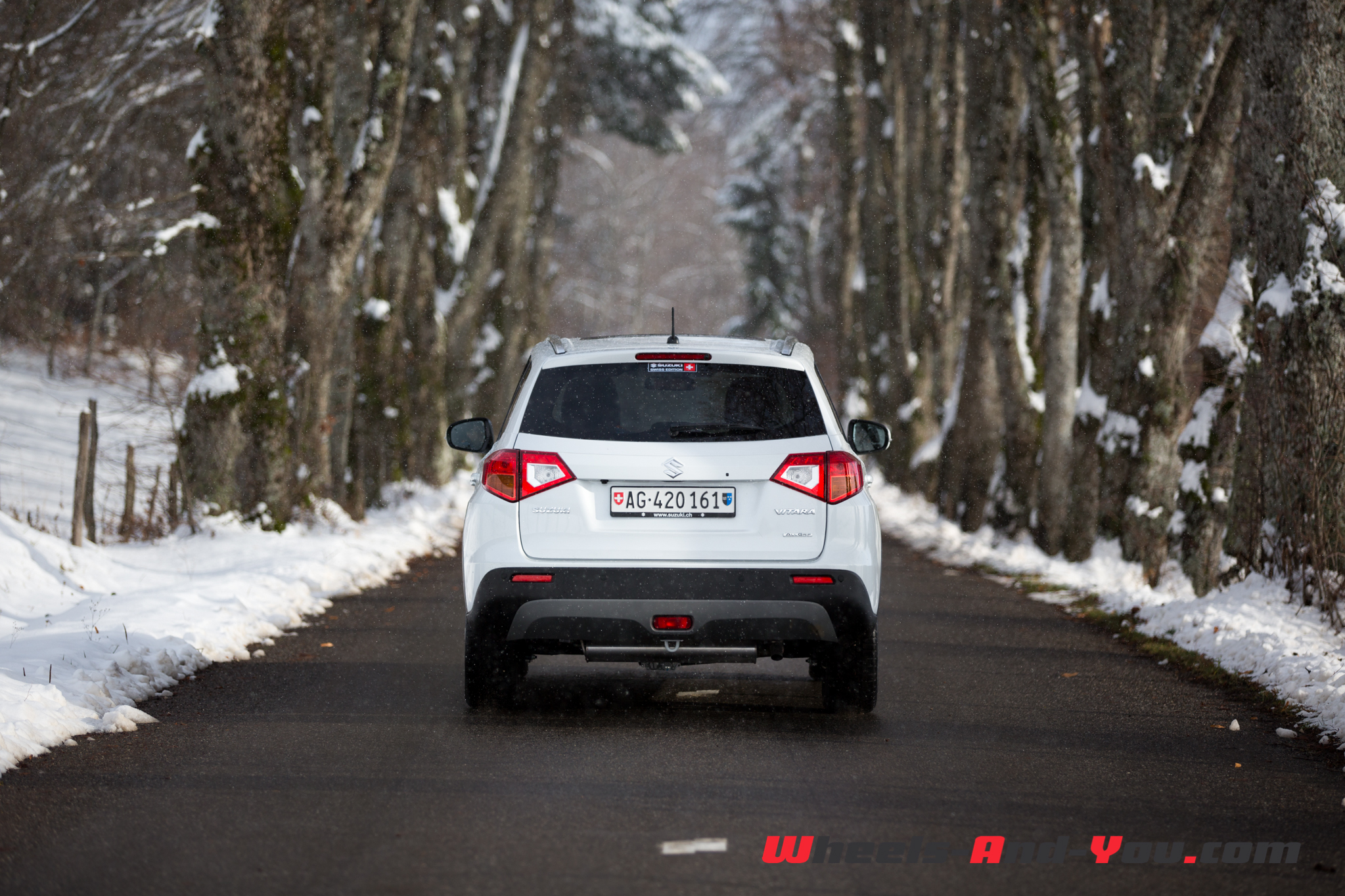 SuzukiVitara 15