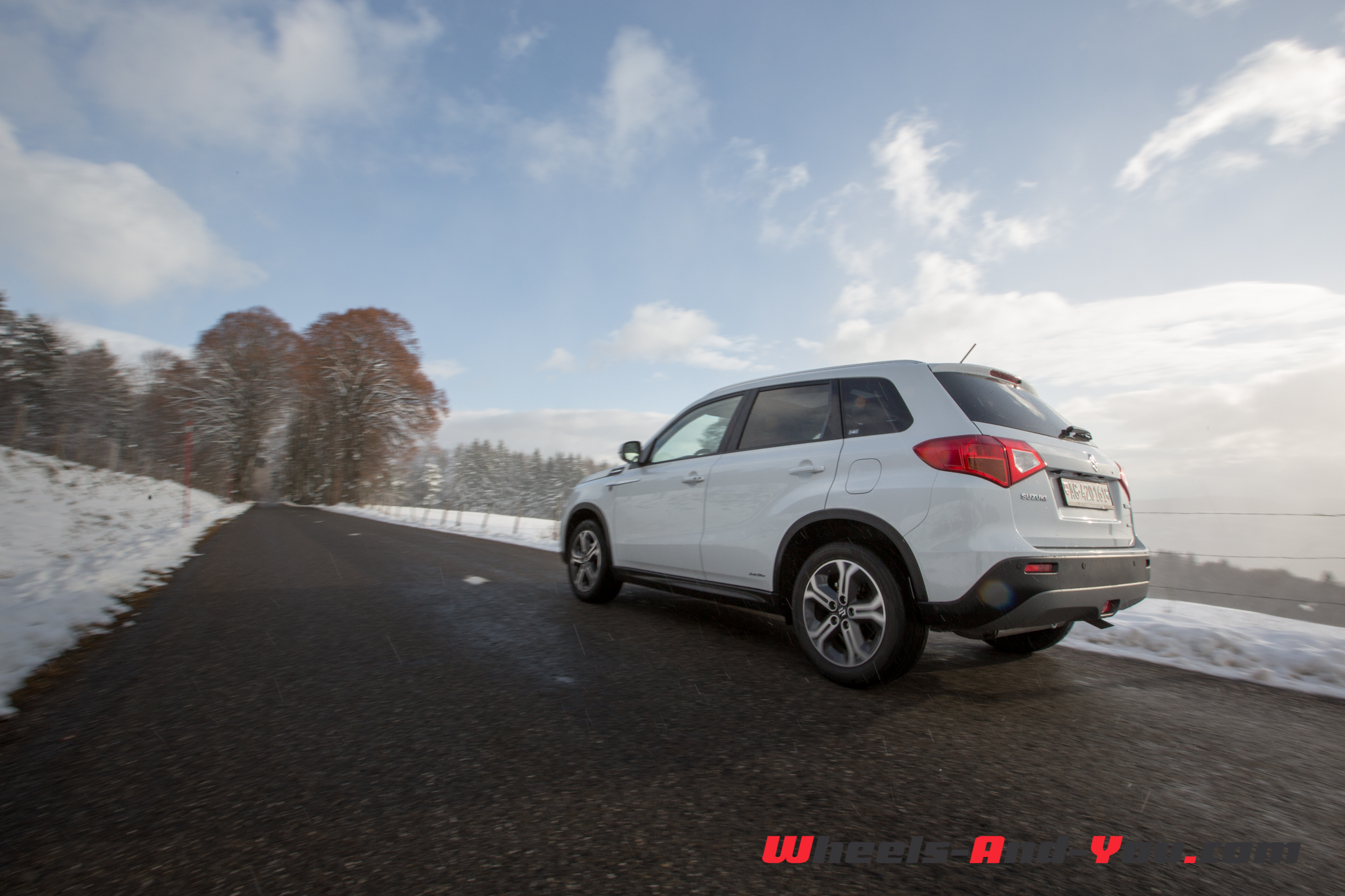 SuzukiVitara 17