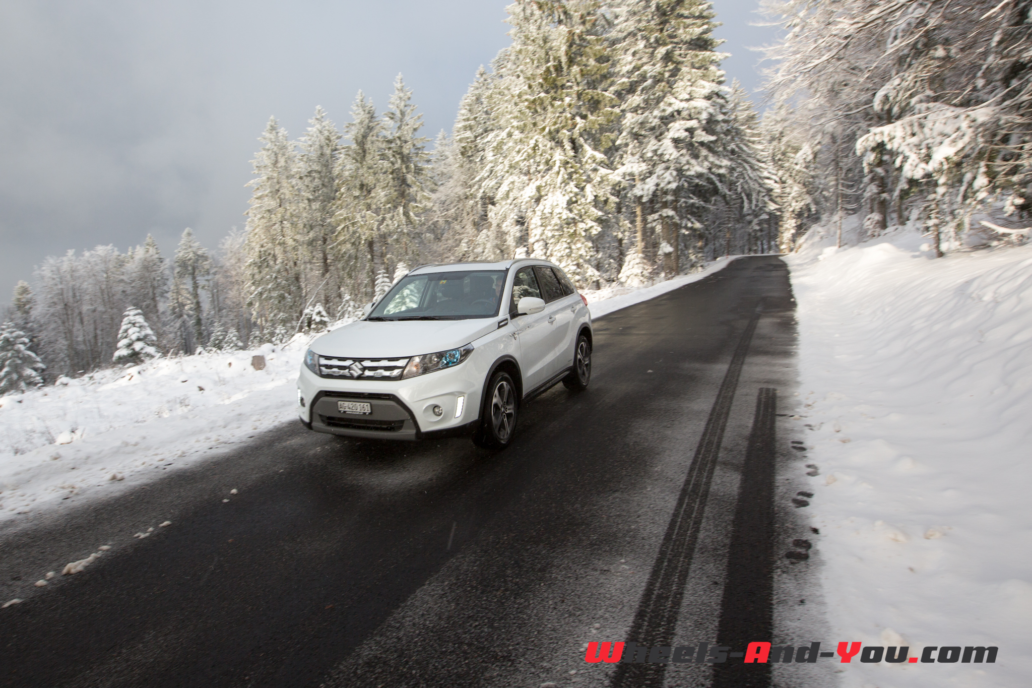 SuzukiVitara 19