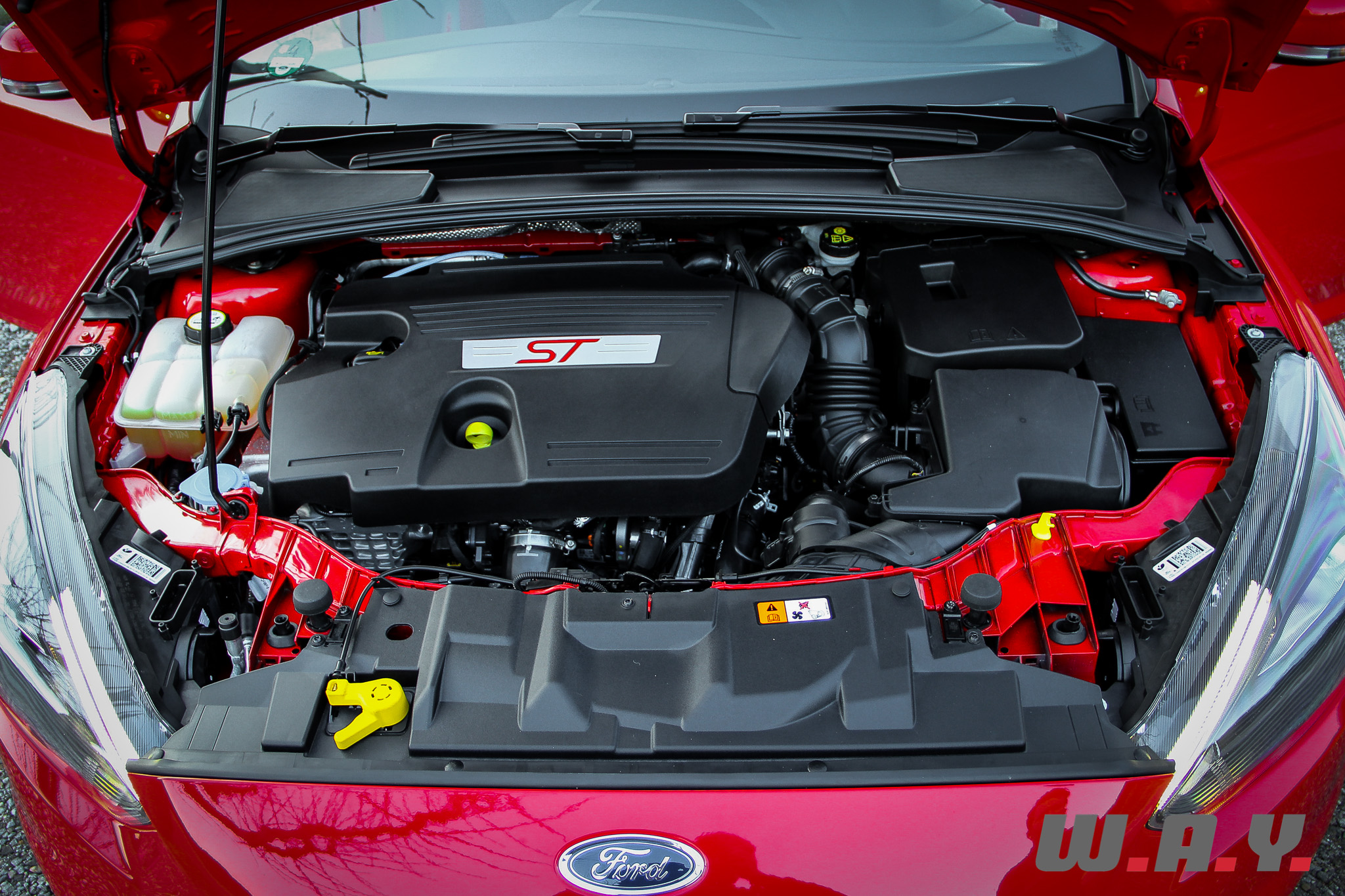 focus ST-03