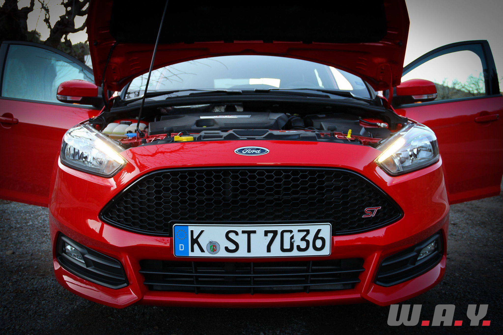 focus ST-06