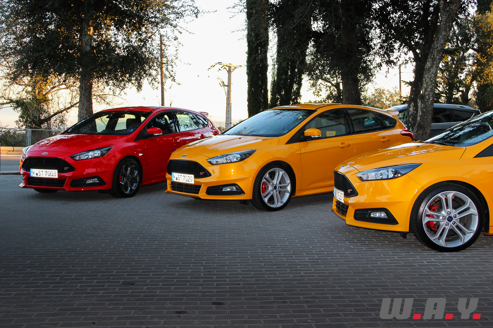 focus ST-08