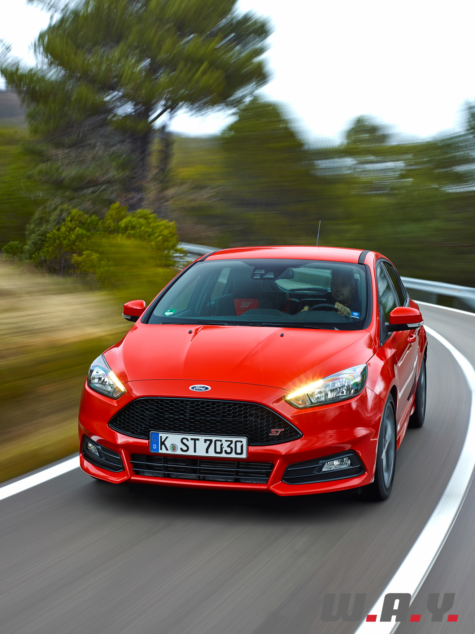 focus ST-15