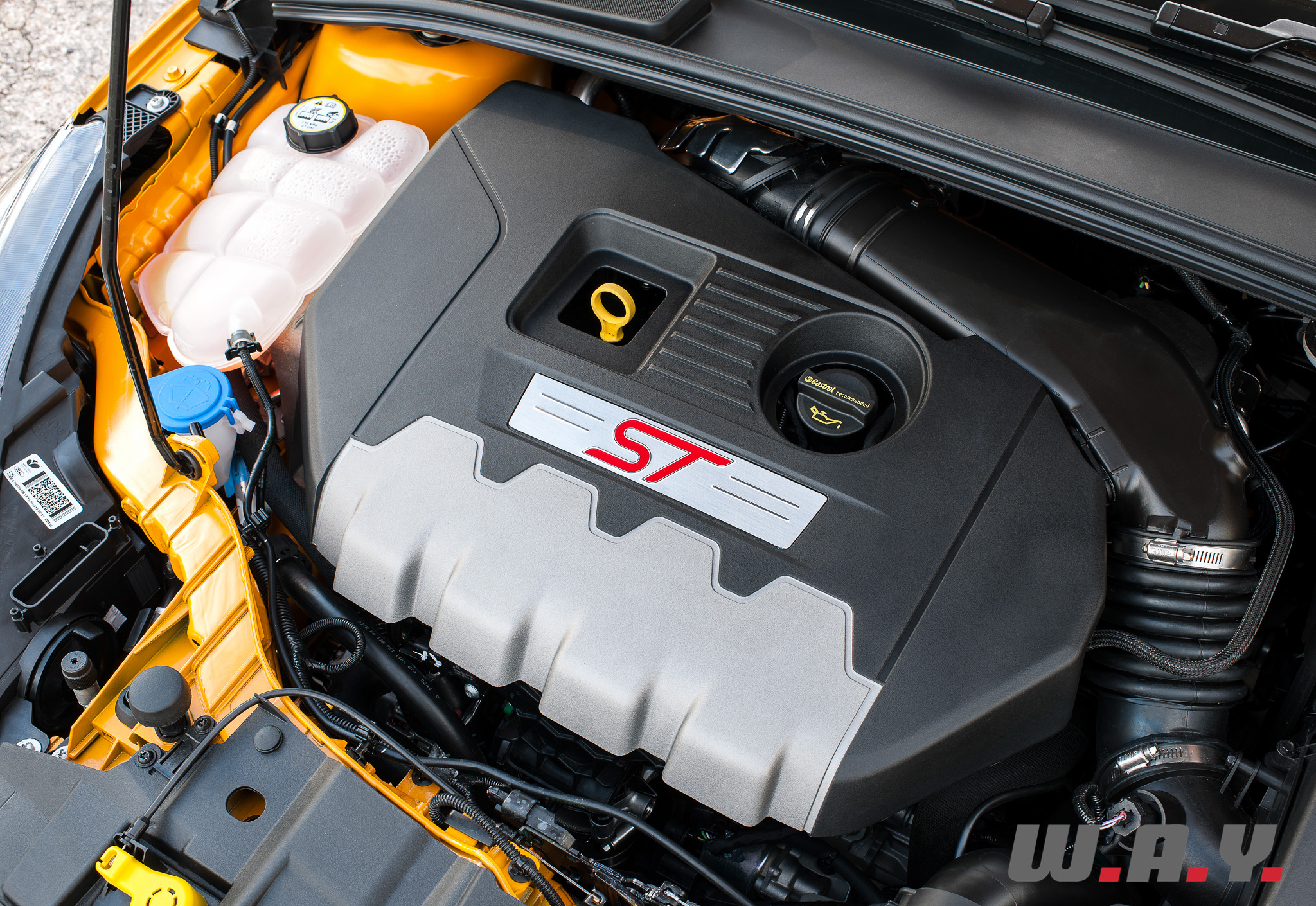 focus ST-16