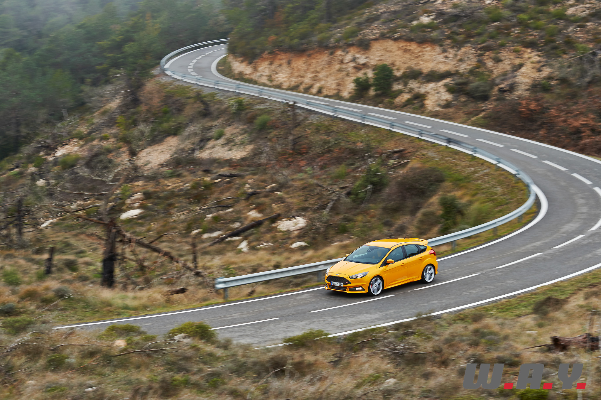 focus ST-17