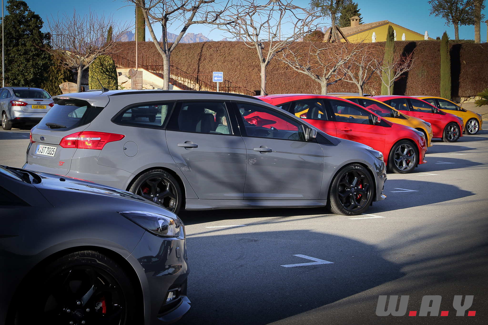 focus ST-21